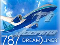 En julio de 2009 Boeing y la corporación rusa VSMPO-Avisma abren la empresa conjunta en los Urales 