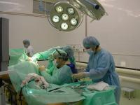 En 2009 Tiumén tendrá un nuevo centro neuroquirúrgico 