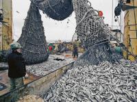 En Yamal se inició el período de gran pesca